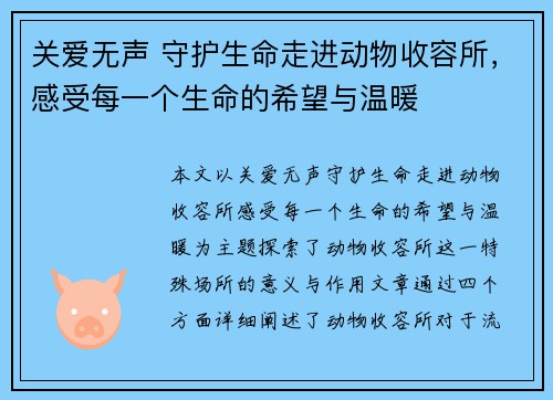 关爱无声 守护生命走进动物收容所，感受每一个生命的希望与温暖